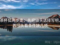 茶杯狐两步走：先把镜头选择写明，再回头看条件缺几项