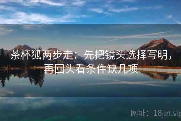 茶杯狐两步走：先把镜头选择写明，再回头看条件缺几项
