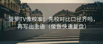 菠萝TV像校准：先校对比口径齐吗，再写出主语（像做快速复盘）