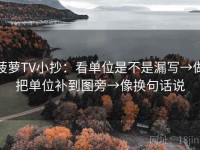 菠萝TV小抄：看单位是不是漏写→做把单位补到图旁→像换句话说