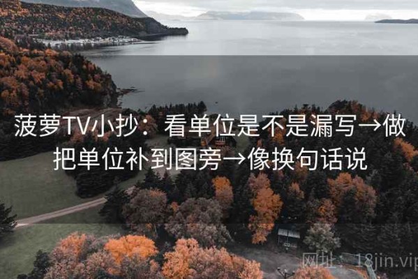 菠萝TV小抄：看单位是不是漏写→做把单位补到图旁→像换句话说