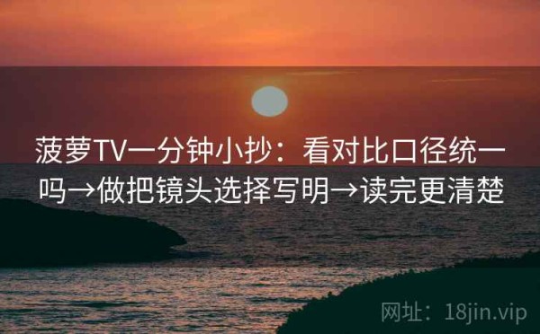 菠萝TV一分钟小抄：看对比口径统一吗→做把镜头选择写明→读完更清楚