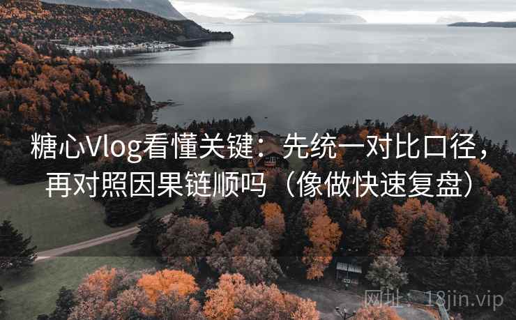 糖心Vlog看懂关键：先统一对比口径，再对照因果链顺吗（像做快速复盘）